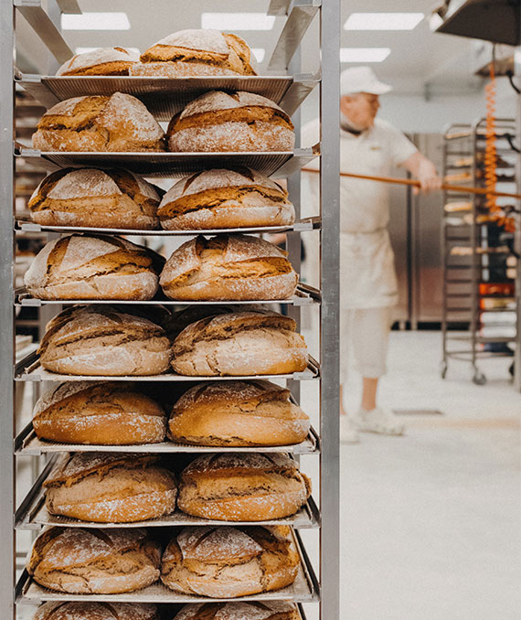 Bäckerei Traintinger Jobangebote